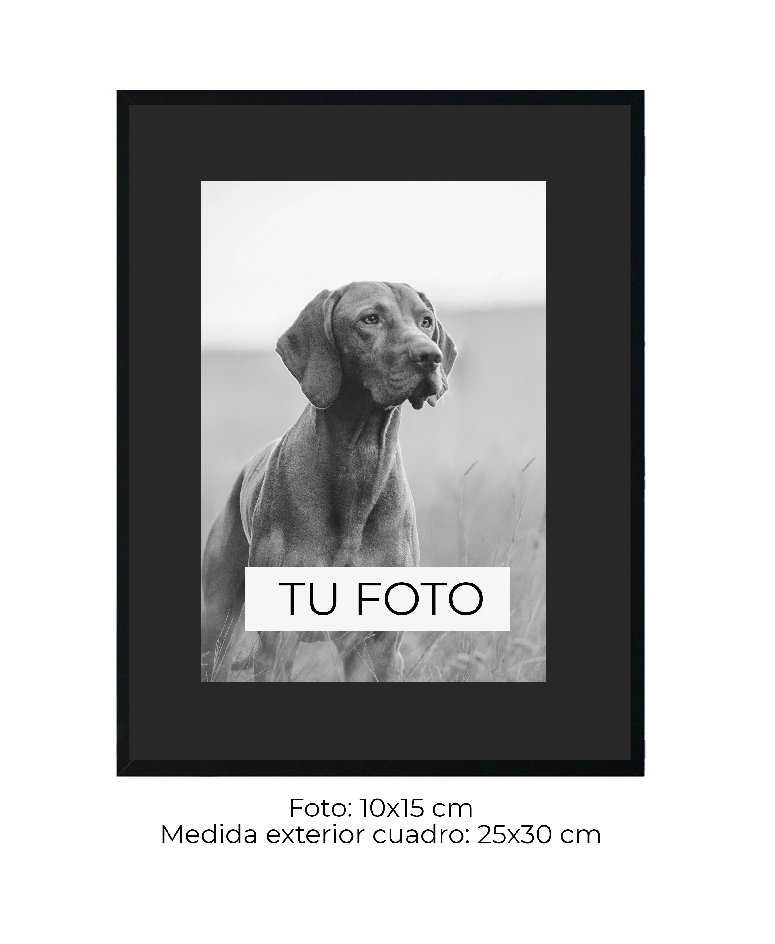 Marco Haya 2 cm x 2 cm