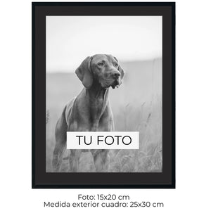 Marco Haya 2 cm x 2 cm