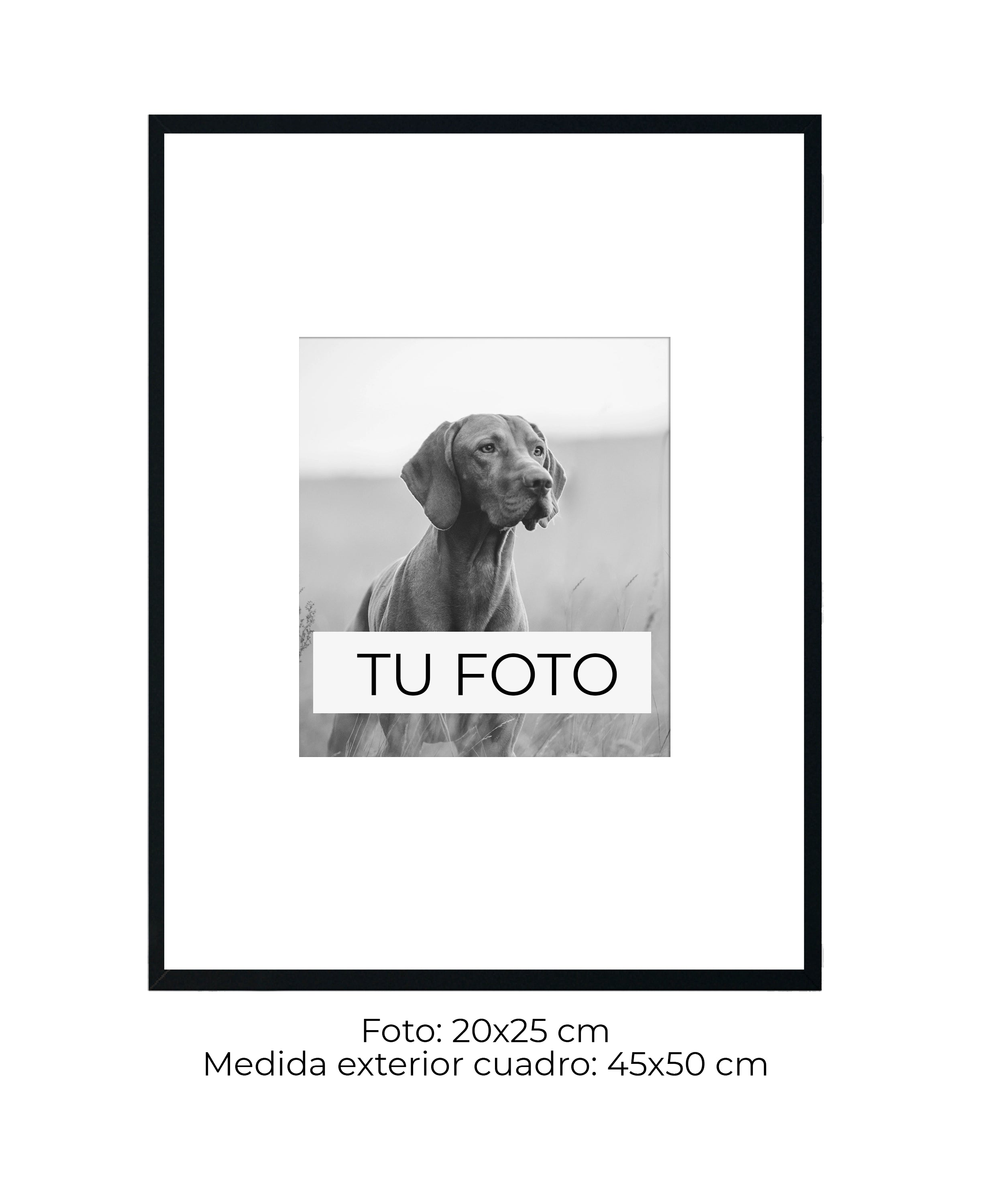 Marco Blanco 2 cm x 2 cm