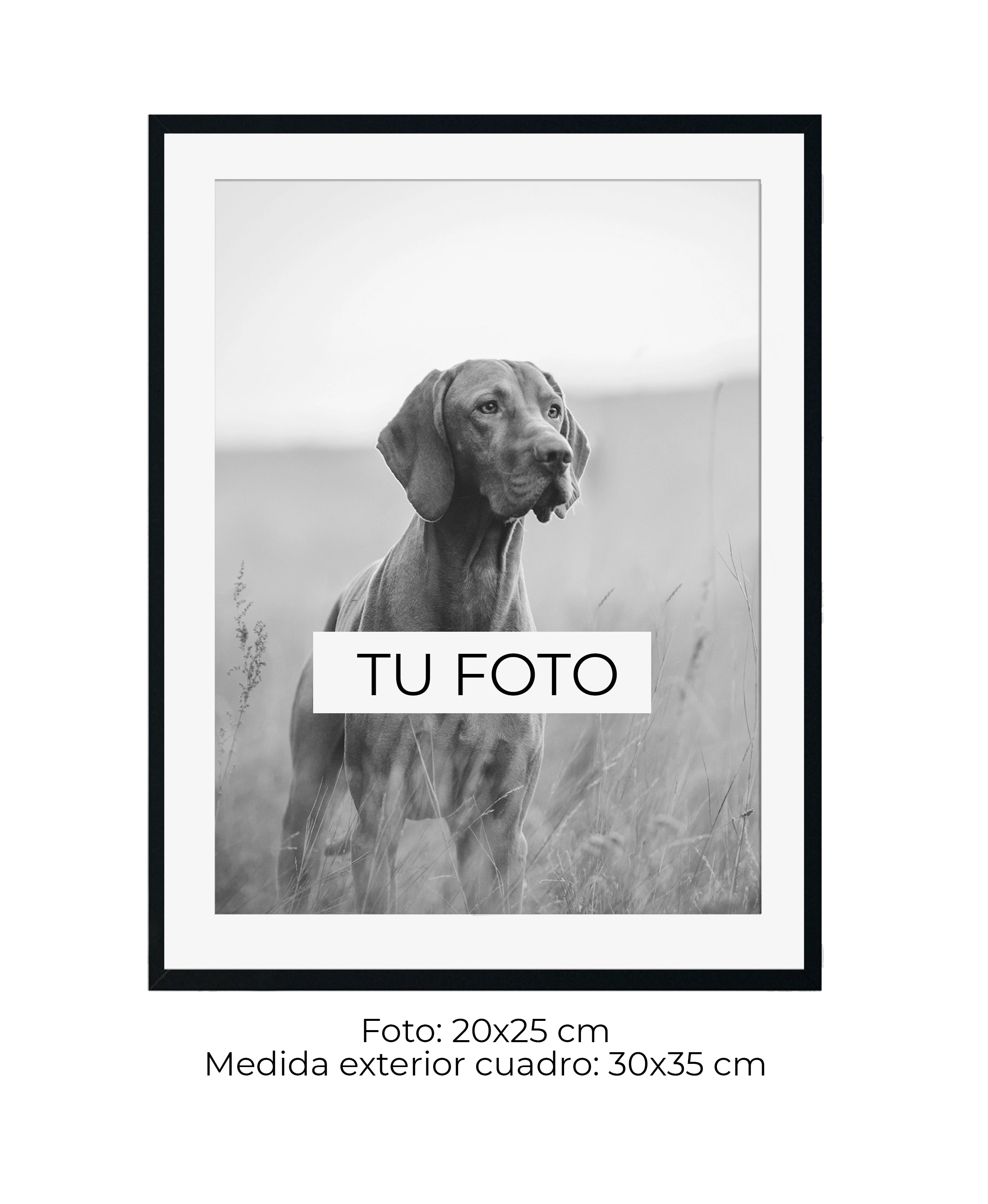 Marco Blanco 2 cm x 2 cm