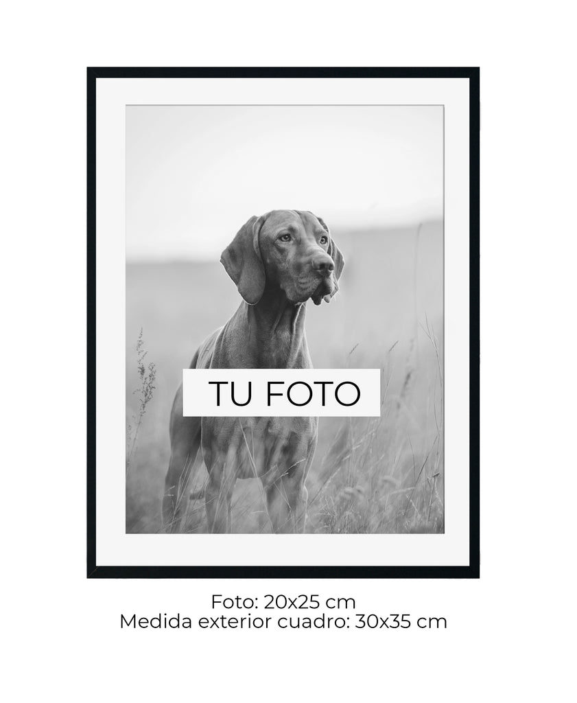 Marco Caja Texturada Negra y Pirita 2 cm x 3 cm