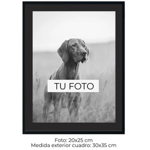 Marco Cedro 2 cm x 2 cm