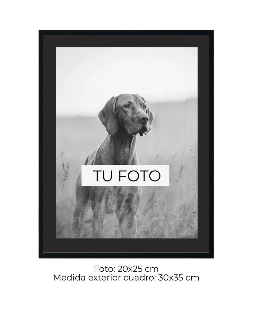 Marco Haya 2 cm x 2 cm