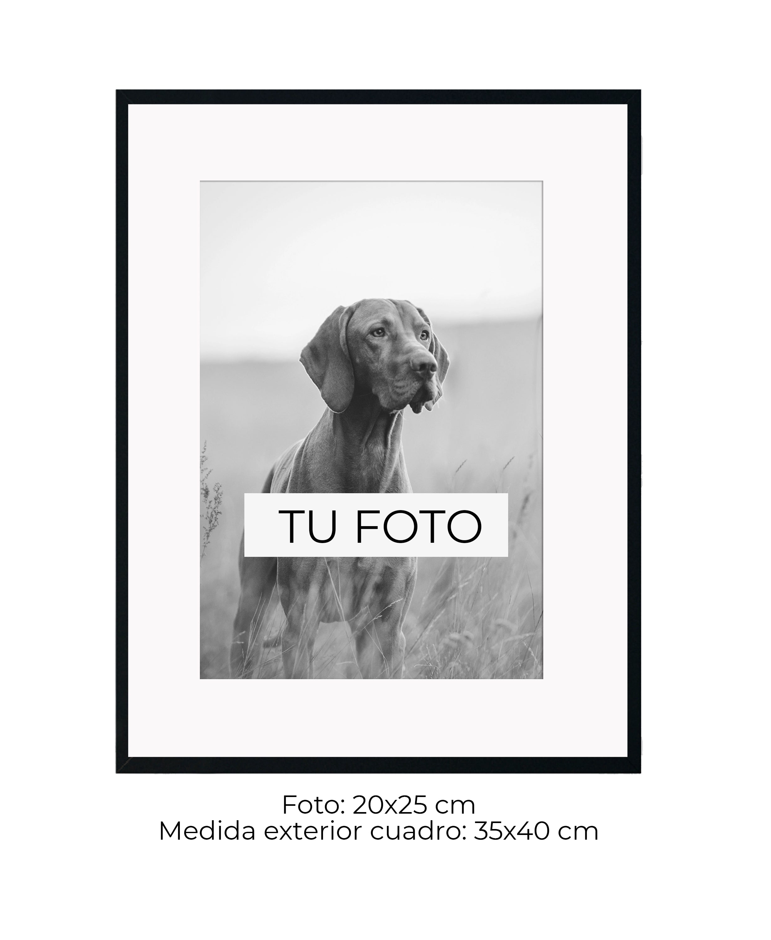 Marco Cedro 2 cm x 2 cm