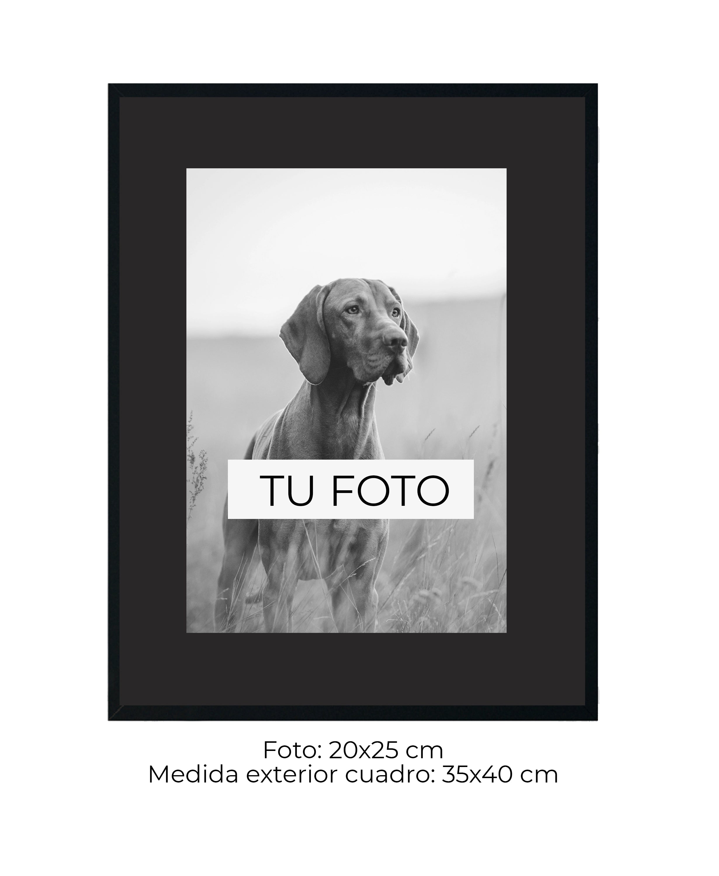 Marco Haya 2 cm x 2 cm