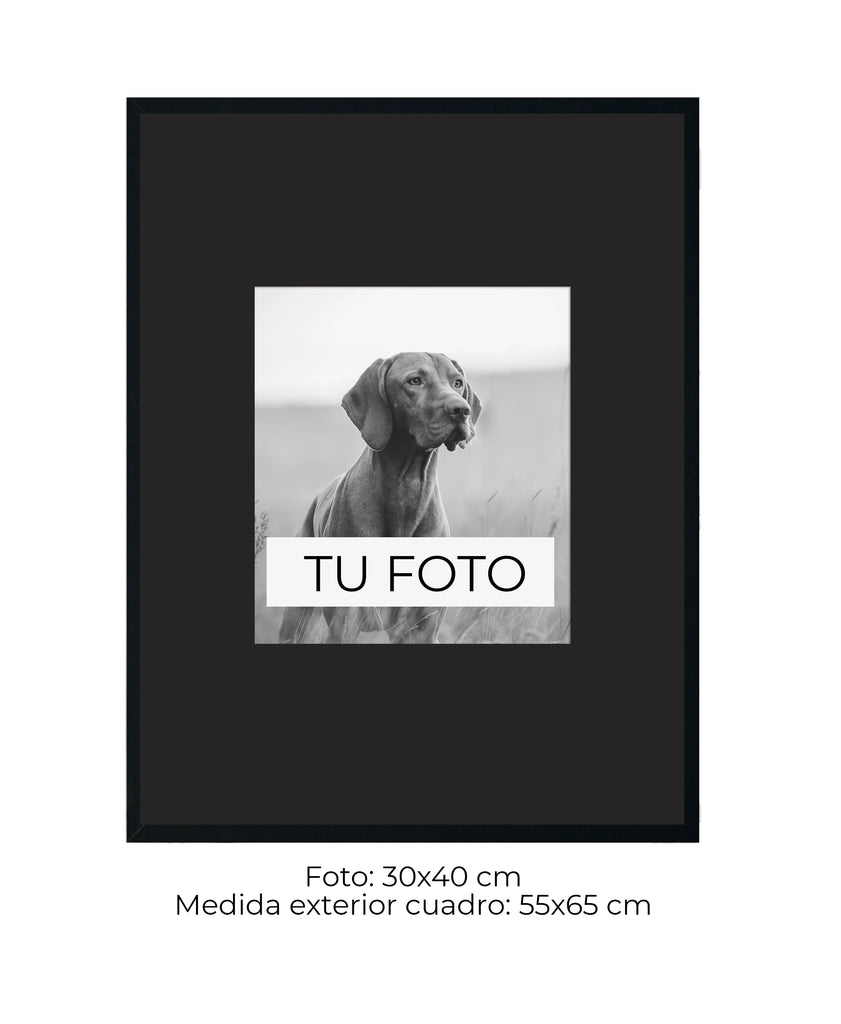 Marco Cedro 2 cm x 2 cm