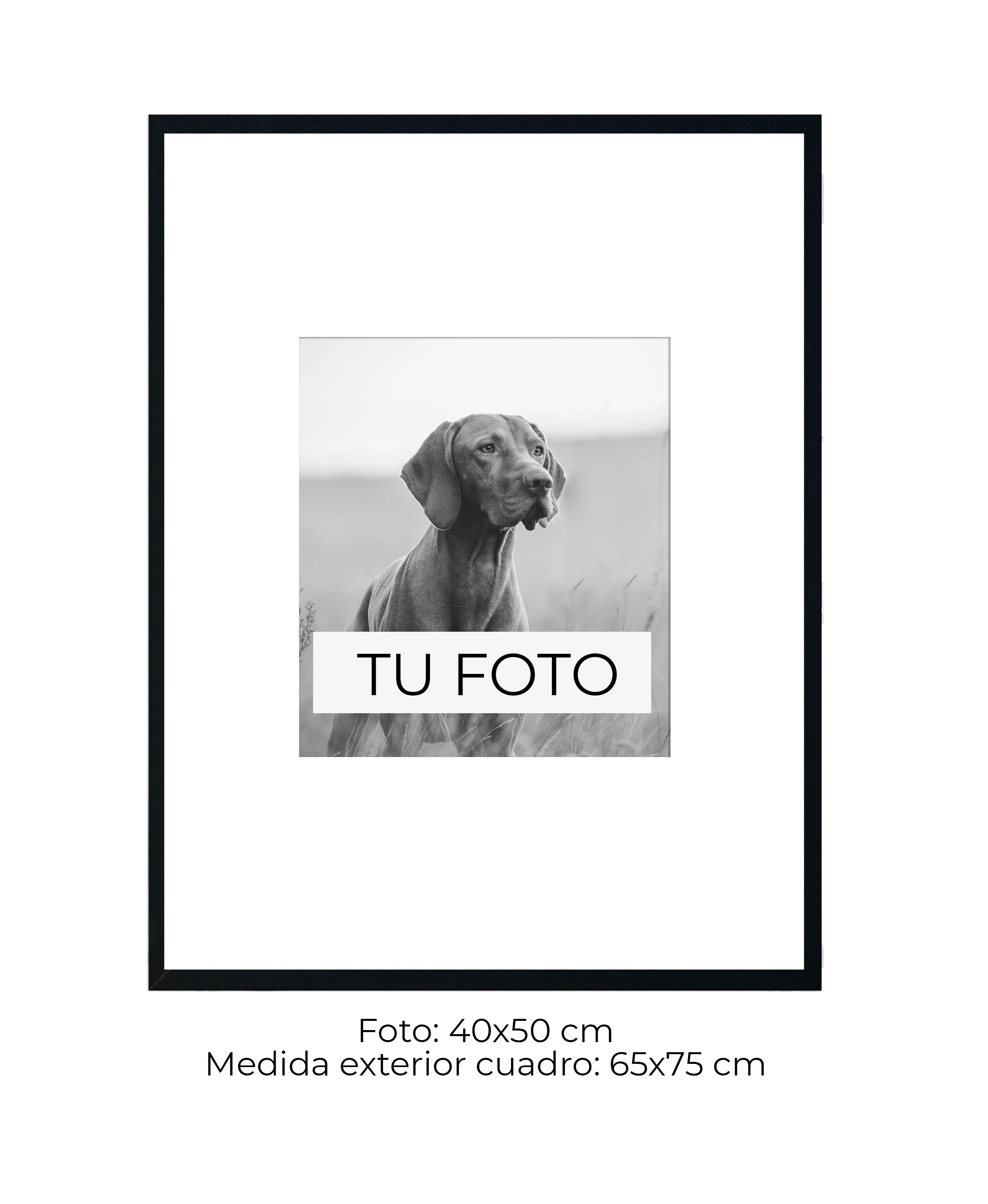 Marco Blanco 2 cm x 2 cm