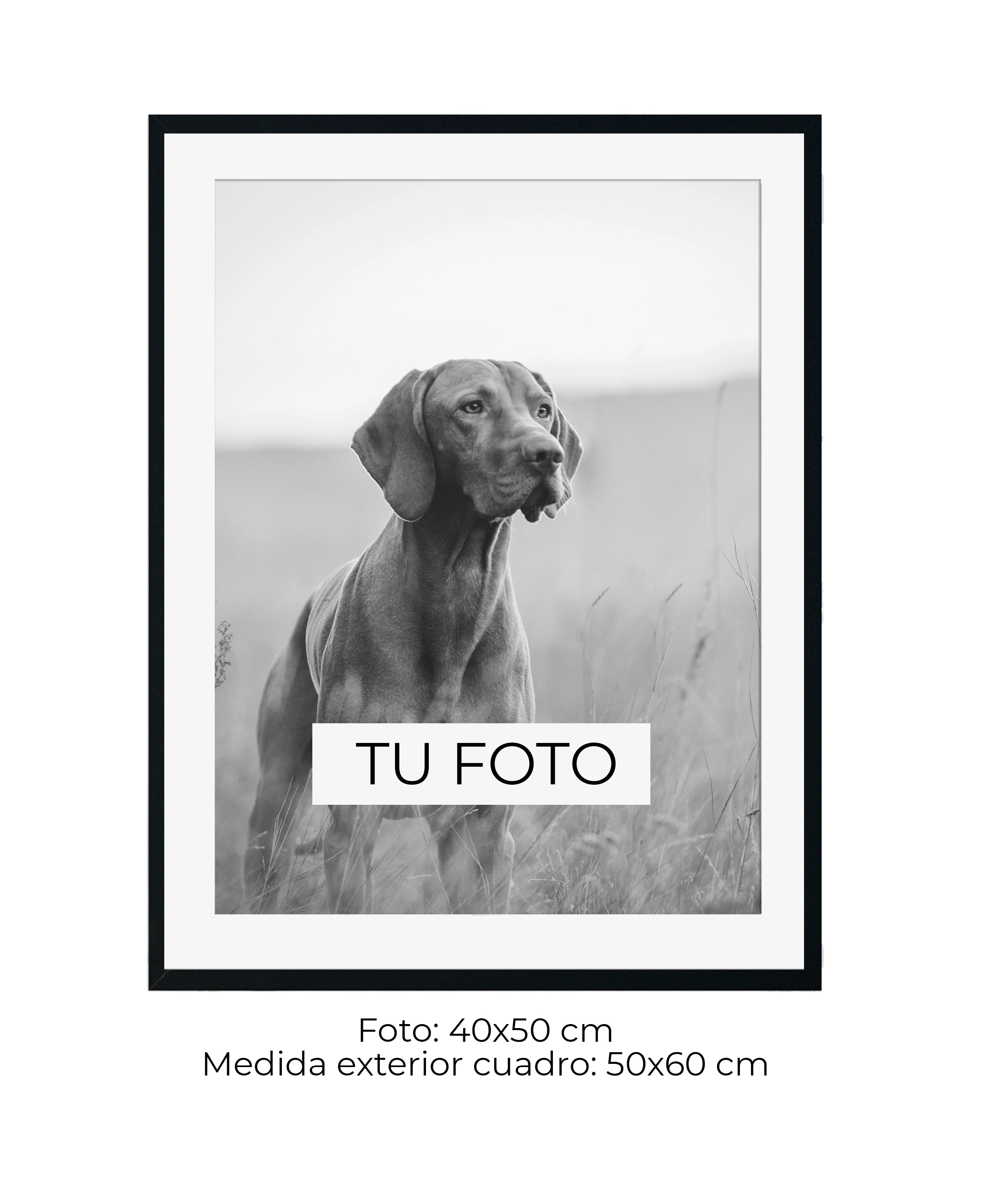 Marco Blanco 2 cm x 2 cm