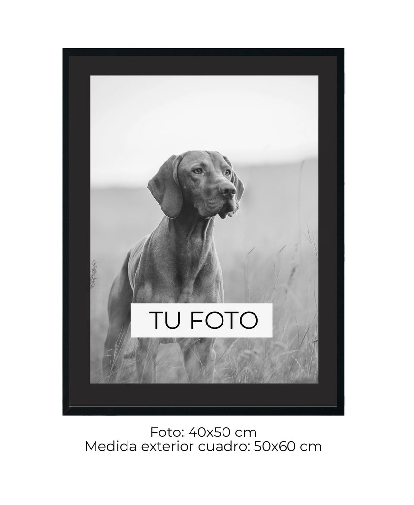 Marco Cedro 2 cm x 2 cm