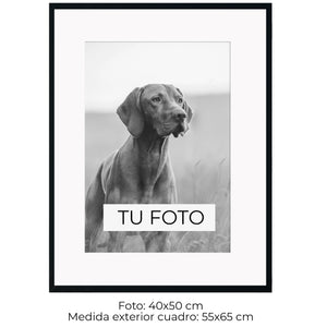 Marco Dorado 2 cm x 2 cm