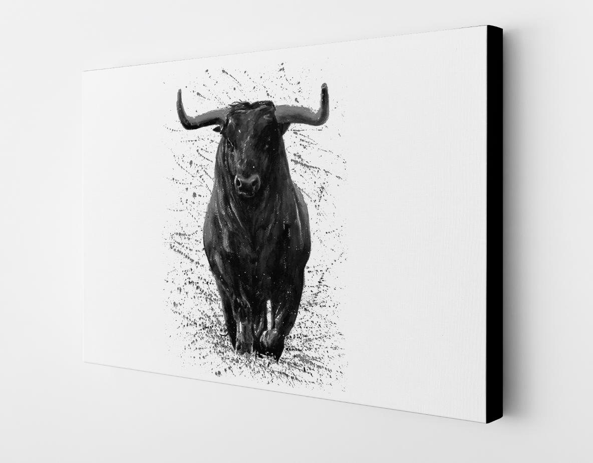Toro