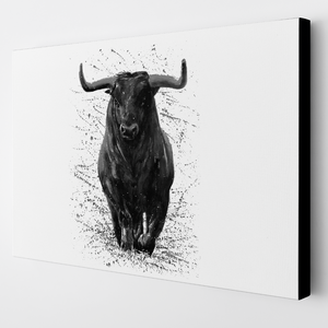 Toro