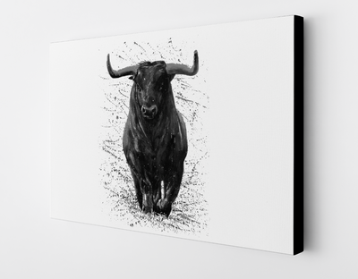 Toro