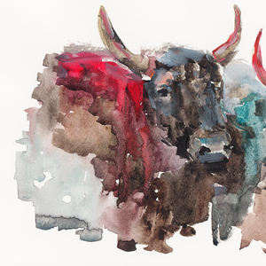Toro acuarela V