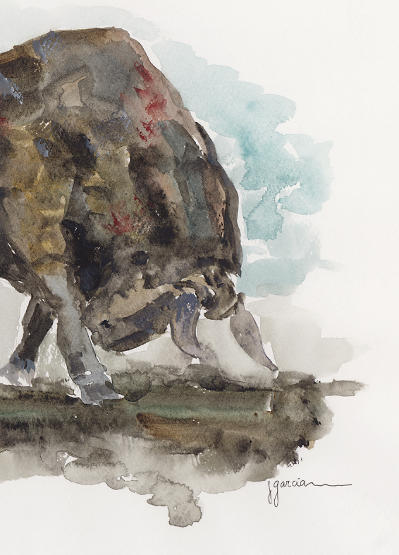 Toro acuarela IV