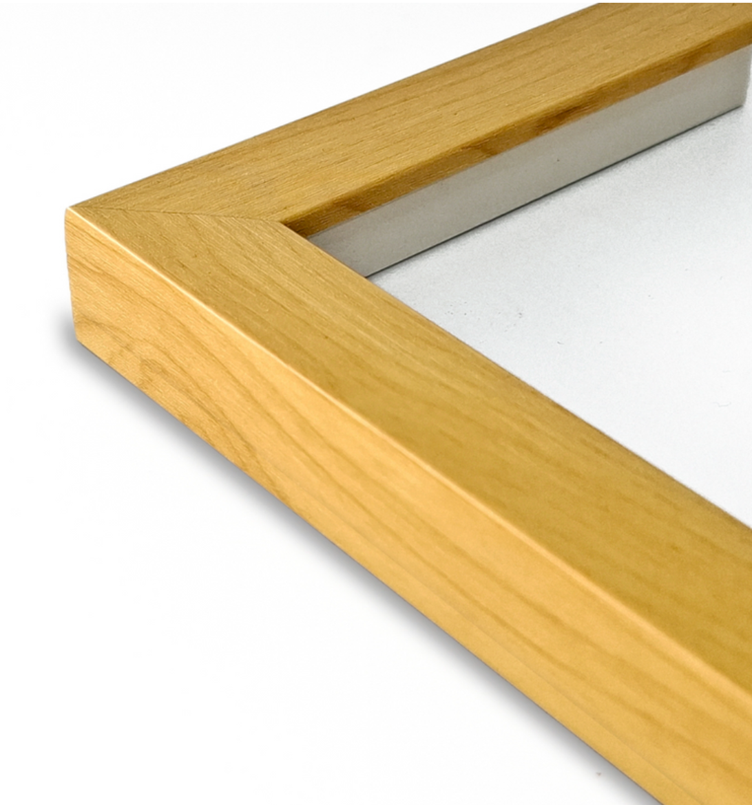 Marco Haya 2 cm x 2 cm