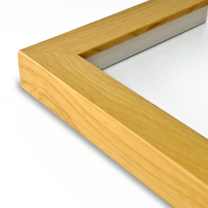 Marco Haya 2 cm x 2 cm