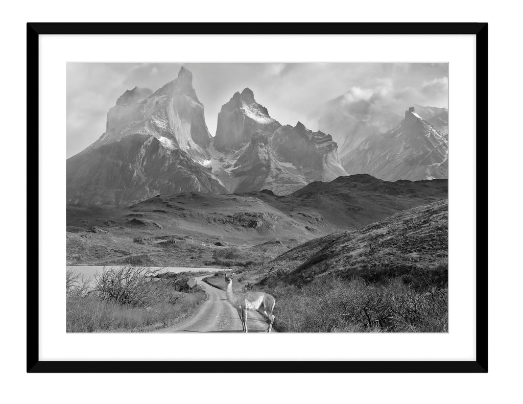 Torres del Paine I