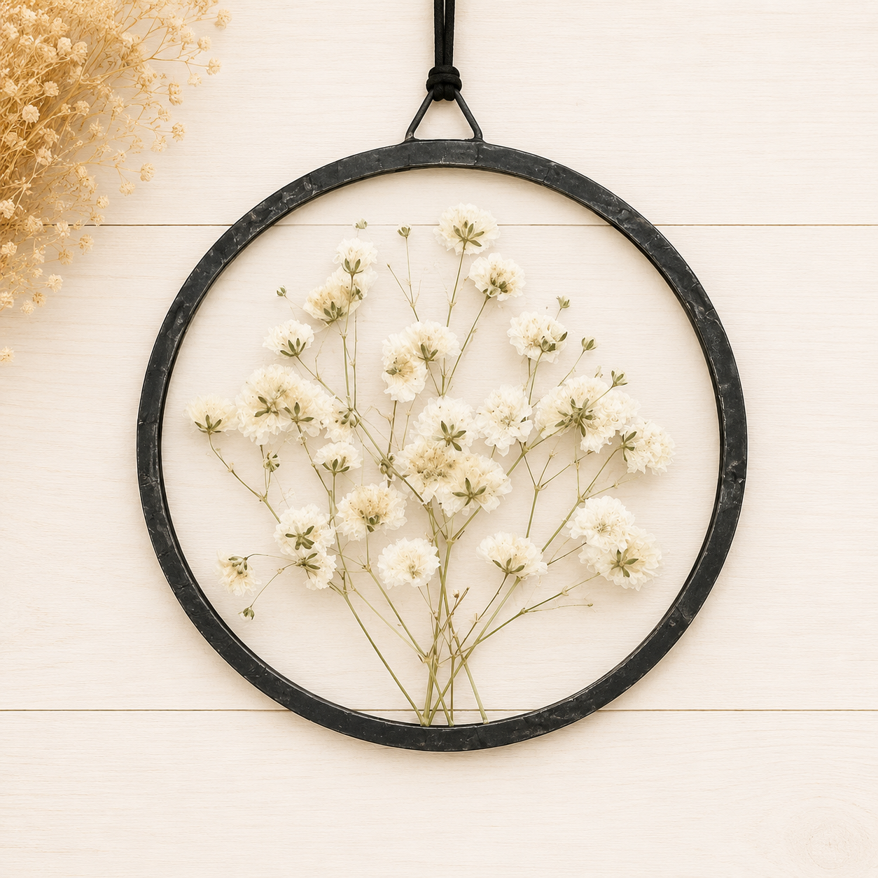 Gypsophilia  10