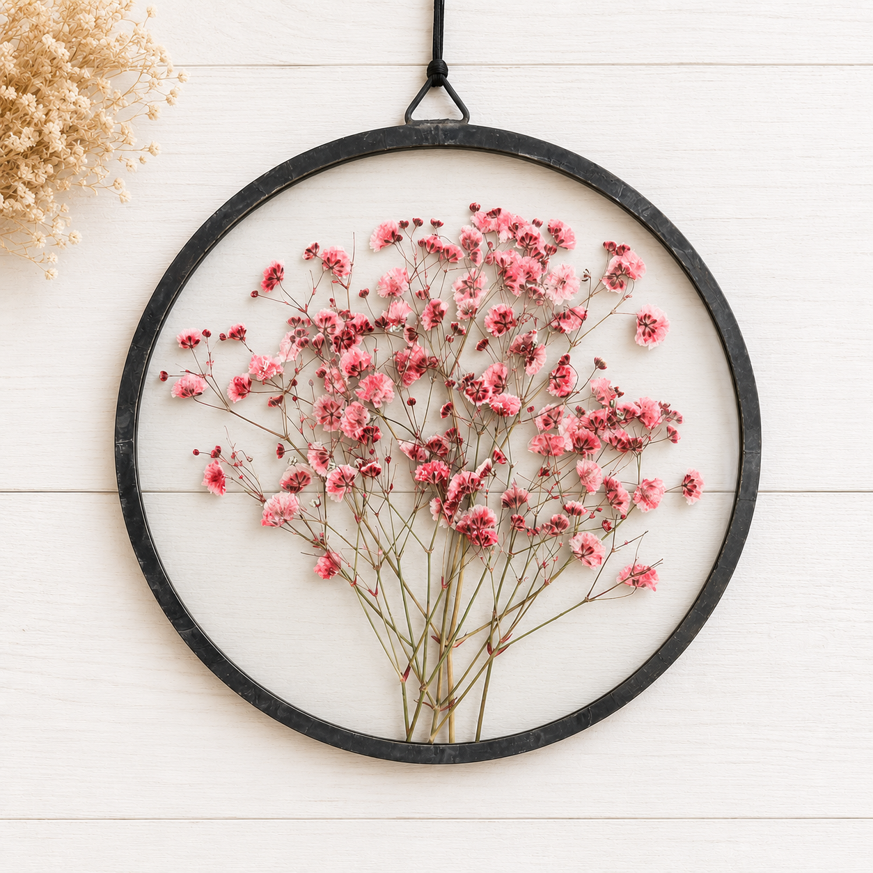 Gypsophilia Rosa