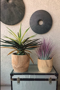 Jarrón Pacano - Stock