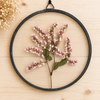Persicaria Campanulata 17
