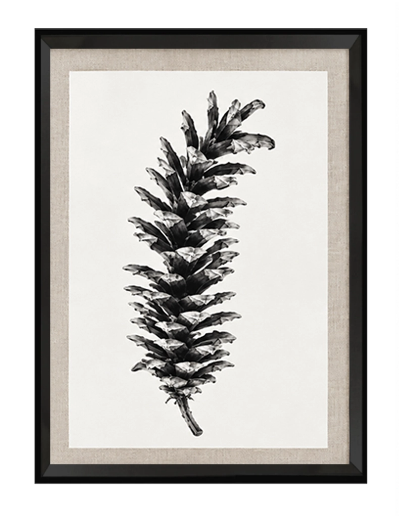 Pine II