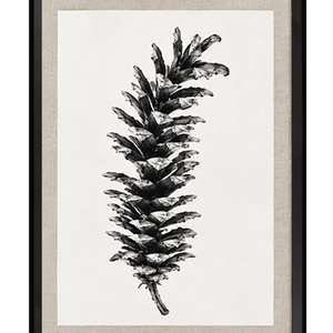 Pine II