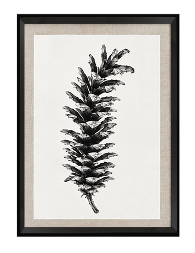 Pine II