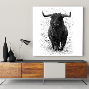 Toro