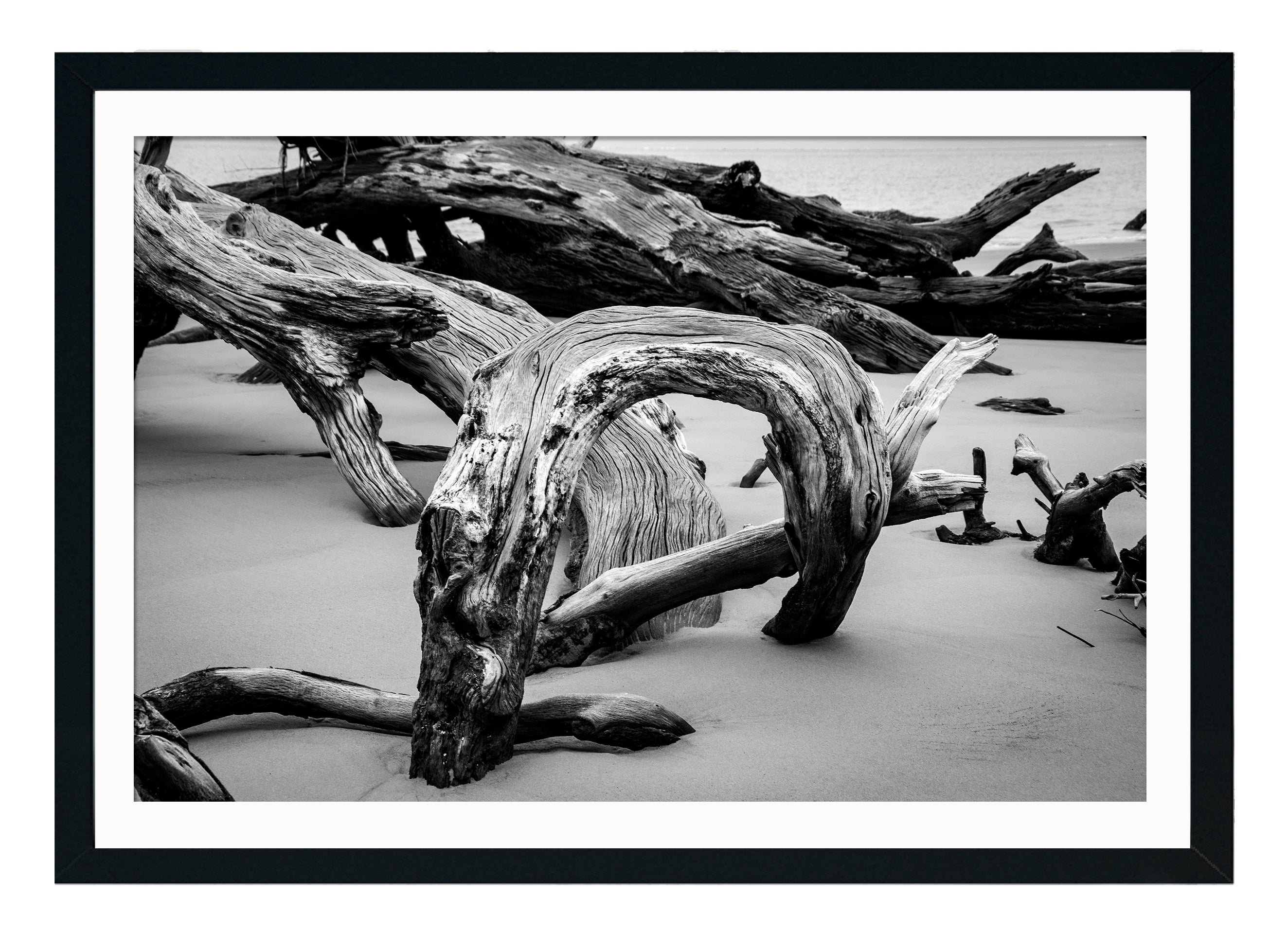 Tronco Orilla I
