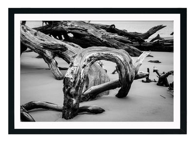 Tronco Orilla I