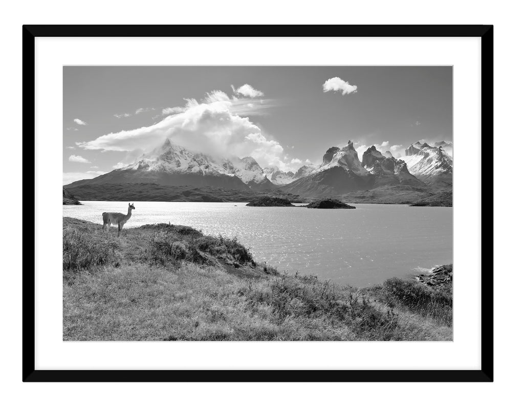 Torres del Paine III