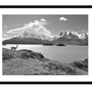 Torres del Paine III