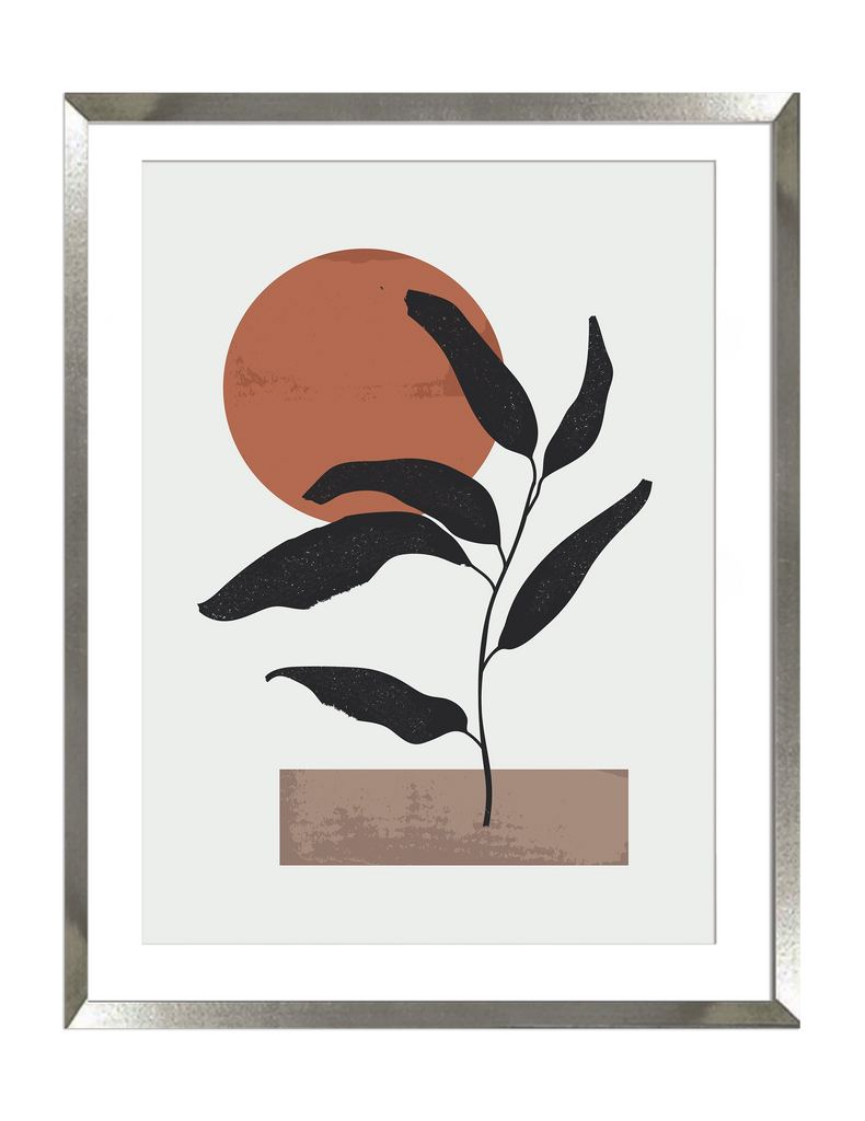 Dupla Geometría y Plantas I y II - Stock