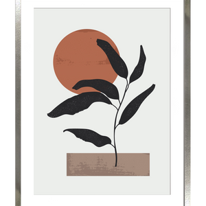 Dupla Geometría y Plantas I y II - Stock