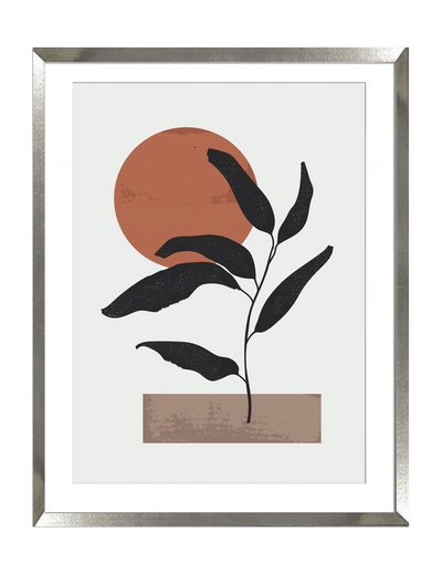 Dupla Geometría y Plantas I y II - Stock