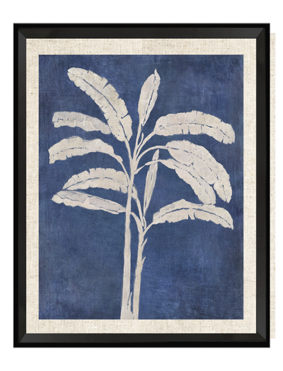 Hoja Platano Azul II