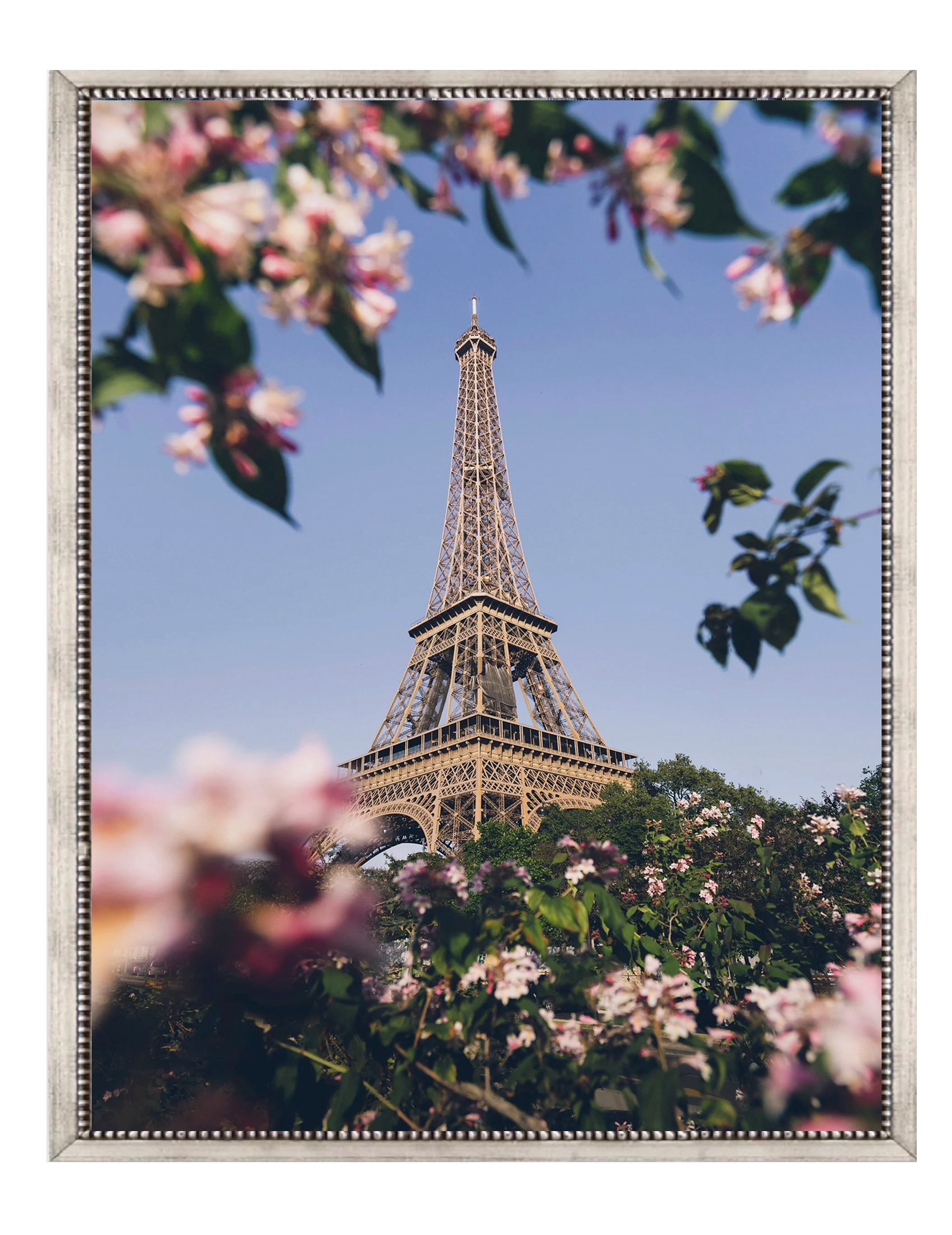 Paris con flores - Stock