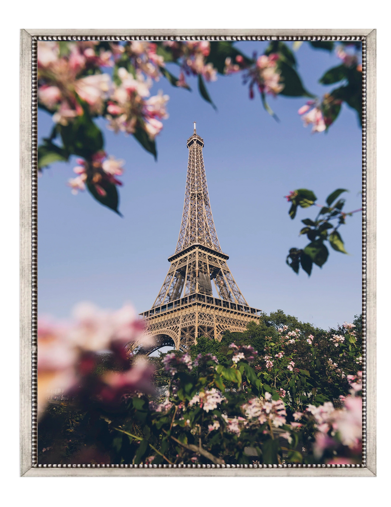 Paris con flores - Stock