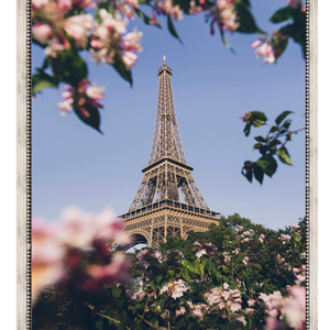 Paris con flores - Stock