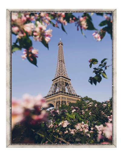Paris con flores - Stock