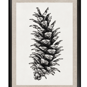 Pine I