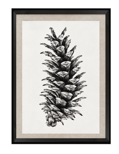 Pine I