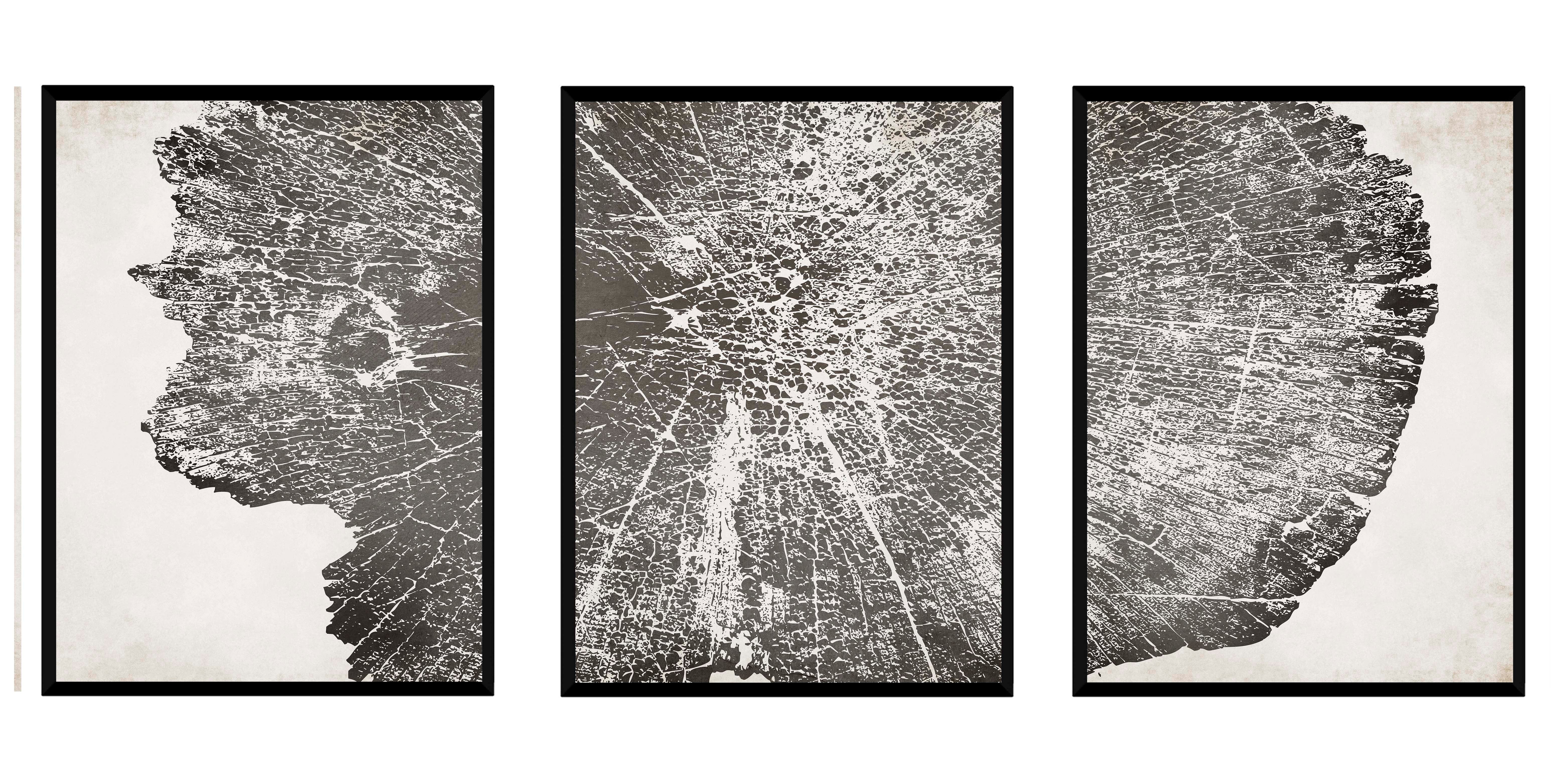 Triptico Tronco Gris