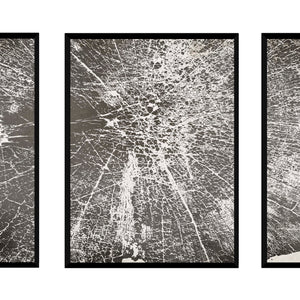 Triptico Tronco Gris