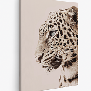 Leopardo Photo