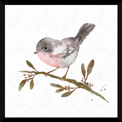 Pajaro Gris