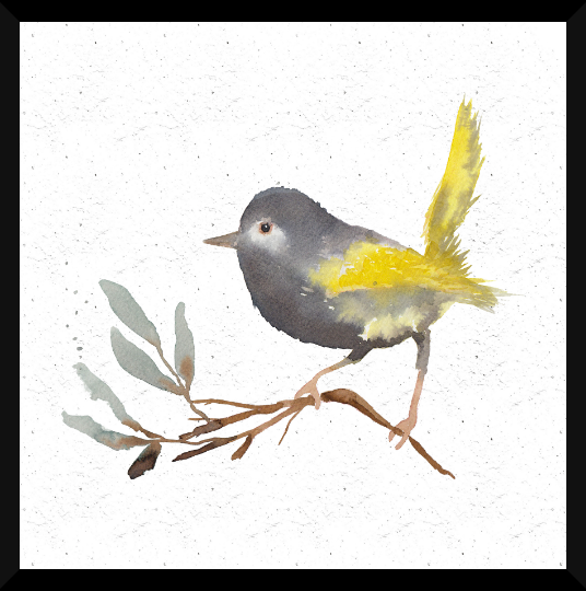 Pajaro Amarillo