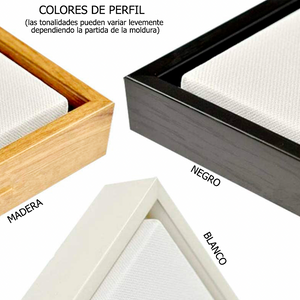 Geometría Transversal